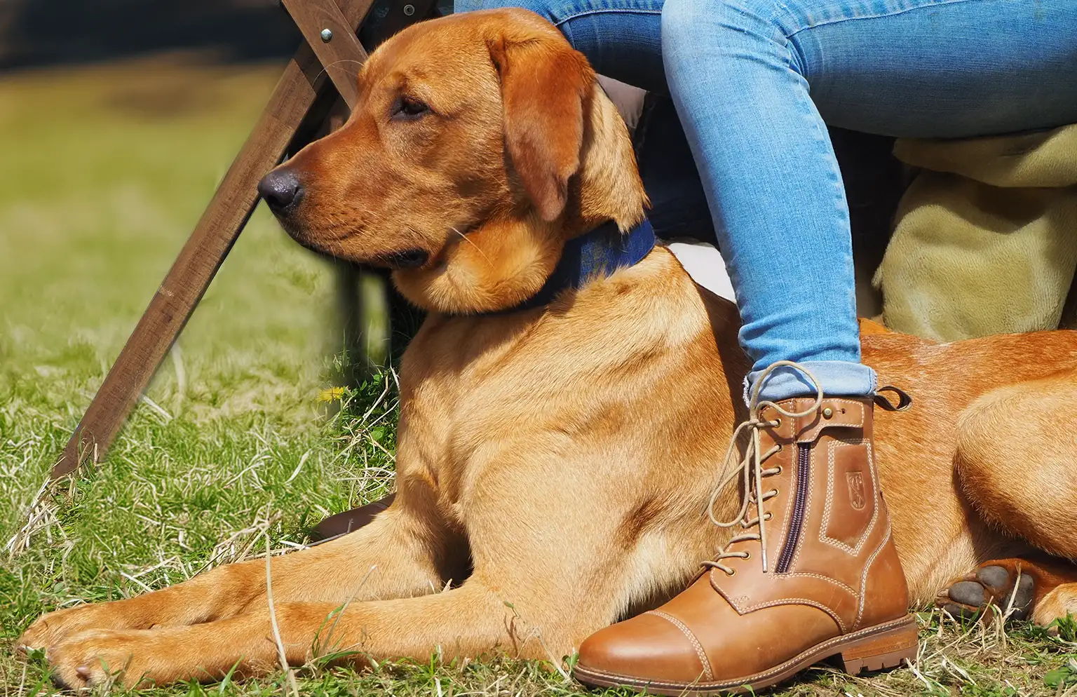 Paddock_Boots
